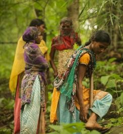 How Gujarat tribal village revived its forests, inspired 65 others How Gujarat tribal village revived its forests, inspired 65 others