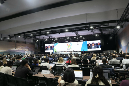 UN Biodiversity Conference: World gathers in Armenia to ‘save’ nature UN Biodiversity Conference: World gathers in Armenia to ‘save’ nature