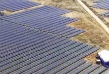Waaree Renewable Technologies Q2 profit falls over 29 pc Waaree Renewable Technologies Q2 profit falls over 29 pc