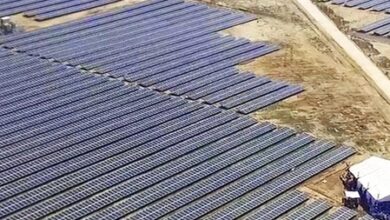 Waaree Renewable Technologies Q2 profit falls over 29 pc Waaree Renewable Technologies Q2 profit falls over 29 pc