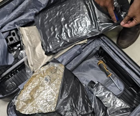 Hydroponic weed valued at Rs 44.27 lakh concealed in trolley bag seized at Pune airport; passenger arrested Hydroponic weed valued at Rs 44.27 lakh concealed in trolley bag seized at Pune airport; passenger arrested