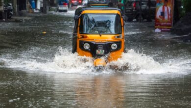 TN govt puts 8,200 personnel on alert as northeast monsoon intensifies TN govt puts 8,200 personnel on alert as northeast monsoon intensifies