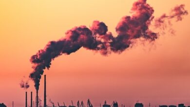 UNEP report lays out emission cuts needed for return to 1.5 degrees UNEP report lays out emission cuts needed for return to 1.5 degrees