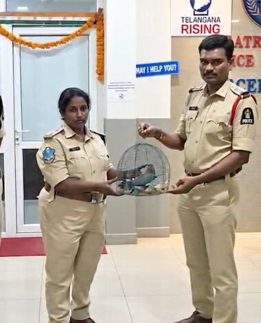 Hyderabad Police rescues 4 Indian Rollers caged during Dussehra due to old superstition