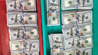 CISF seizes foreign currency worth Rs 1.13 crore at Kolkata airport