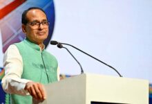 AgriVoltaics policies must suit needs of small, marginal farmers: Shivraj Singh Chouhan AgriVoltaics policies must suit needs of small, marginal farmers: Shivraj Singh Chouhan
