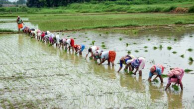 Centre to launch nationwide ‘Khet Bachao Abhiyan’ for sustainable farming practices