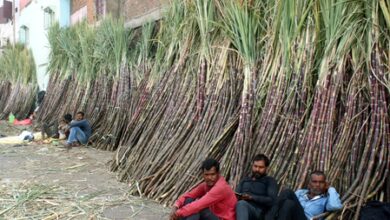 Maharashtra ethanol industry faces crisis over Centre’s procurement curbs