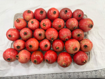 India’s Sinduri pomegranate exports hit Dubai market India’s Sinduri pomegranate exports hit Dubai market