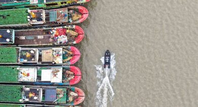 Typhoon Champi: Taiwan shuts schools, offices in 20 cities and counties; hundreds of flights cancelled