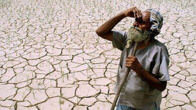Drought in Rajasthan: Ashok Gehlot questions government, Kirodi Lal Meena responds