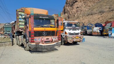 Pakistan’s pharma exports plunge over 30 pc as Afghan border closure hits trade