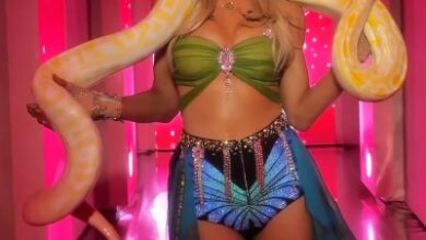 Paris Hilton recreates Britney Spears’ iconic 2001 VMA moment posing with faux python