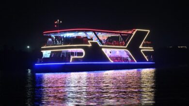 Gujarat: ‘Ekta Cruise’ to bring river tourism, celebrations to Statue of Unity destination