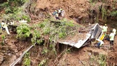 TN rains: Nilgiris on red alert; tourists urged to avoid Ooty hill routes TN rains: Nilgiris on red alert; tourists urged to avoid Ooty hill routes