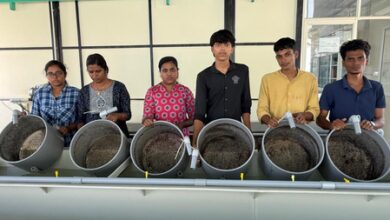 Kerala’s national fisheries institute supplies one million mussel seeds to Maharashtra