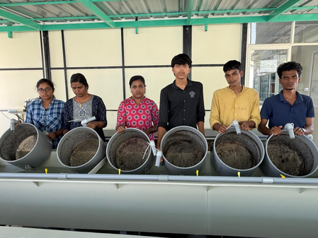 Kerala’s national fisheries institute supplies one million mussel seeds to Maharashtra Kerala’s national fisheries institute supplies one million mussel seeds to Maharashtra
