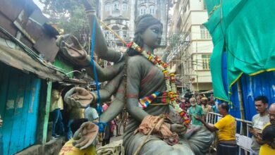 Kolkata pandal stampede: Chorbagan Sarbojanin idols taken for immersion without necessary farewell rituals