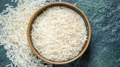India holds 40 pc of global rice exports, key to world food security: Experts India holds 40 pc of global rice exports, key to world food security: Experts