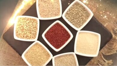 Youth linking traditional crops with new opportunities: PM Modi on Northeast’s millet revival
