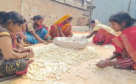 Purnia traders hail PM Modi’s inspiring words on makhana, say youth getting drawn towards cultivation Purnia traders hail PM Modi’s inspiring words on makhana, say youth getting drawn towards cultivation