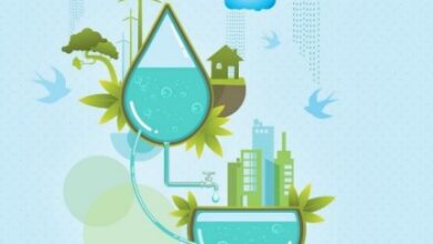 India’s ‘Jal Sanchay Jan Bhagidari’ initiative creates over 1.55 crore artificial water recharge structures India’s ‘Jal Sanchay Jan Bhagidari’ initiative creates over 1.55 crore artificial water recharge structures