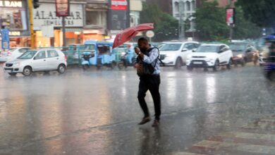 MP: Heavy to very heavy rain likely over next five days; IMD issues warning MP: Heavy to very heavy rain likely over next five days; IMD issues warning