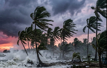 Andhra begins evacuation, shuts beaches as ‘Arnab’ intensifies into severe cyclone Andhra begins evacuation, shuts beaches as ‘Arnab’ intensifies into severe cyclone