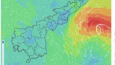 Cyclone Arnab: Odisha govt cautions against circulation of unverified forecasts