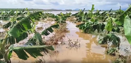 Heavy rain disrupts life across TN; flooding, power cuts hit several districts Heavy rain disrupts life across TN; flooding, power cuts hit several districts