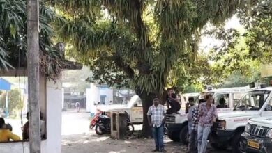 Gaighata encounter: Victim’s family, locals welcome Bengal Police action (Lead)