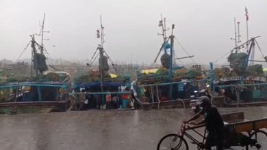 Cyclone Arnab: 466 relief shelters prepared; nearly 48,000 evacuated in Odisha
