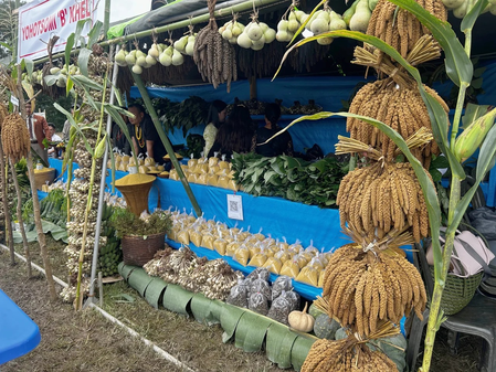 Nagaland’s Kezoma village revives millet cultivation through mechanisation and double-season farming Nagaland’s Kezoma village revives millet cultivation through mechanisation and double-season farming
