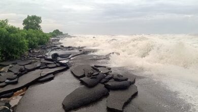 Cyclone Arnab makes landfall along Andhra coast with winds up to 135 kmph