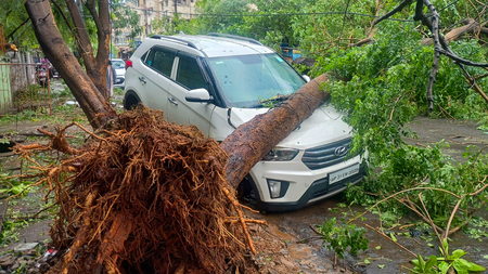 Cyclone Arnab claimed 7 lives in Andhra, losses estimated at Rs 4,600 crore