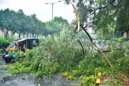 Andhra: Central team to visit cyclone-hit areas tomorrow Andhra: Central team to visit cyclone-hit areas tomorrow