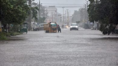 Kharge, Priyanka Gandhi express concern over Cyclone Arnab devastation in Andhra, Odisha