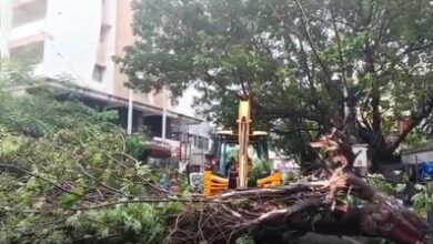Cyclone ‘Arnab’ makes landfall, heavy rain lashes coastal Andhra