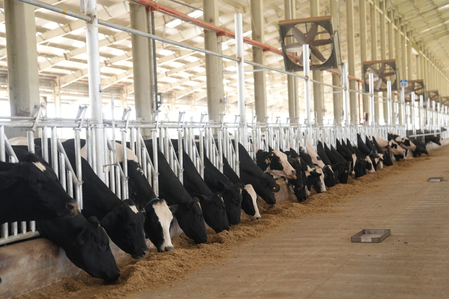 Gujarat centre to produce 25,000 cattle embryos a year to improve milk yields