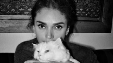 Siddharth says ‘thank you for been born’ as wife Aditi Rao Hydari celebrates her birthday