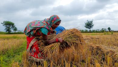 Temperature drops as Cyclone Arnab brings rain in Rajasthan