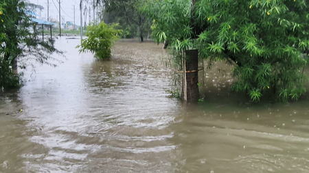 IMD issues orange alert for extremely heavy rain in eastern MP IMD issues orange alert for extremely heavy rain in eastern MP