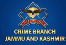 J&K Crime Branch files chargesheet against five in migrant property fraud case J&K Crime Branch files chargesheet against five in migrant property fraud case