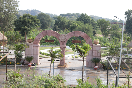 Gujarat’s Ekta Nagar to get rainforest showcasing flora from Western Ghats, Himalayas