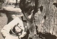 Prosenjit Chatterjee reminisces about his first camera appearance as a child in ‘Chhotto Jigyasa’ Prosenjit Chatterjee reminisces about his first camera appearance as a child in ‘Chhotto Jigyasa’