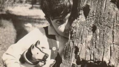 Prosenjit Chatterjee reminisces about his first camera appearance as a child in ‘Chhotto Jigyasa’