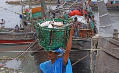 Bangladesh lifts hilsa fishing ban, but declining catches cloud supply hopes