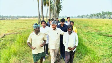 CM Chandrababu Naidu assures help to Andhra farmers for crop loss due to cyclone CM Chandrababu Naidu assures help to Andhra farmers for crop loss due to cyclone