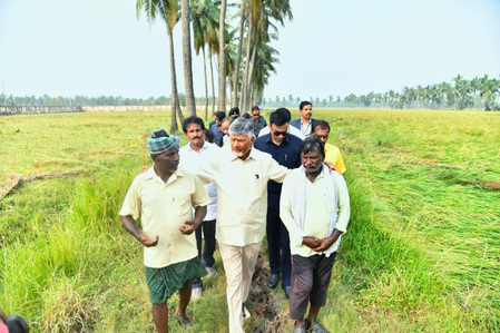 CM Chandrababu Naidu assures help to Andhra farmers for crop loss due to cyclone CM Chandrababu Naidu assures help to Andhra farmers for crop loss due to cyclone