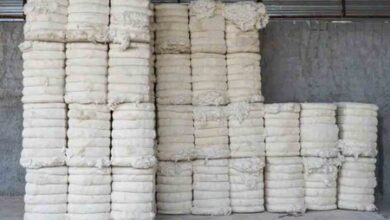 Centre extends customs duty exemption on cotton imports till December 31 Centre extends customs duty exemption on cotton imports till December 31